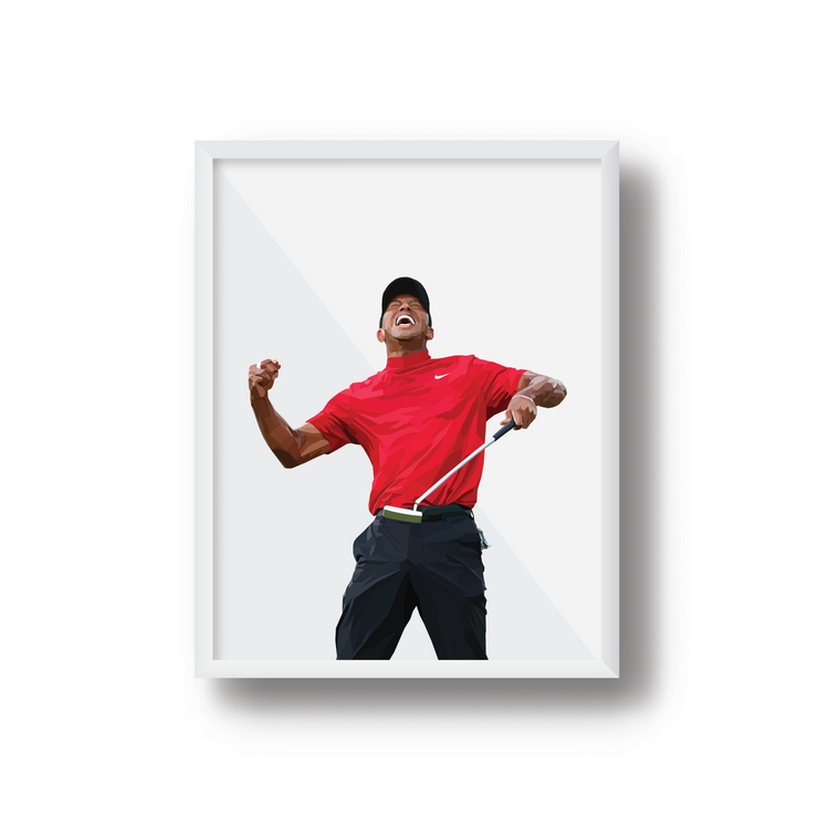 Tiger Woods V2